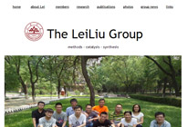 The LeiLiu Group